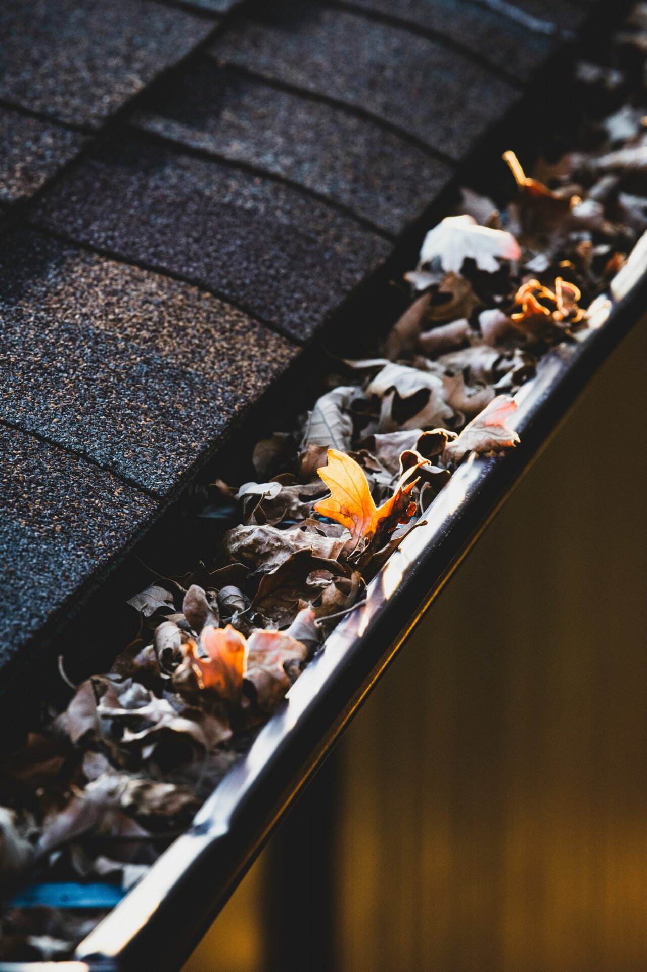 Leaves in gutter